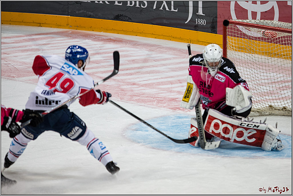 Koelner Haie - Adler Mannheim, 30.10.2016